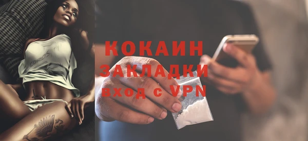 эйфоретик Бородино