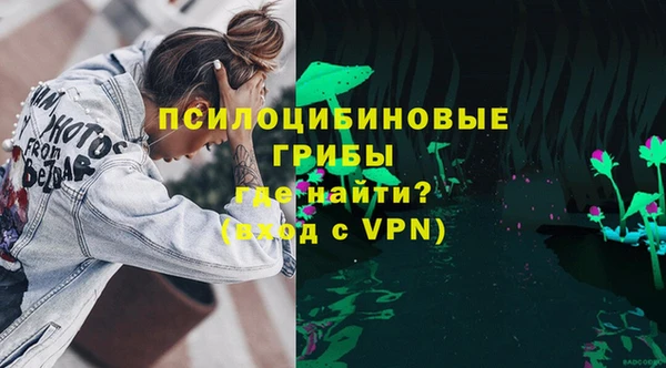 эйфоретик Бородино