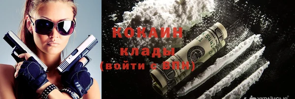 эйфоретик Бородино