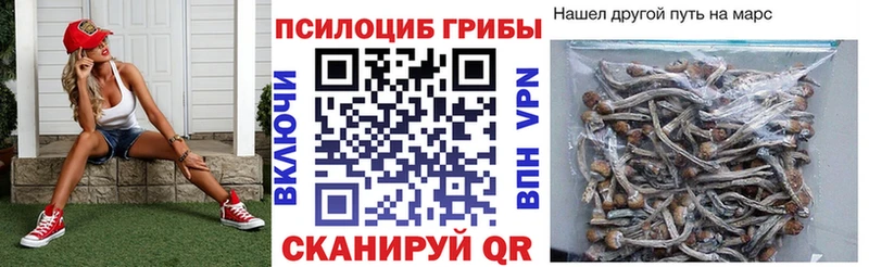 где купить наркоту  Норильск  сайты даркнета Telegram  Галлюциногенные грибы MAGIC MUSHROOMS 